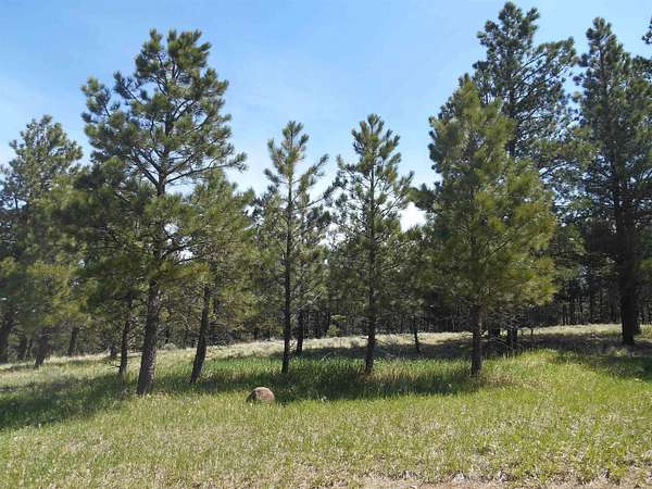 2 Acres of Land for Sale in Angel Fire, New Mexico