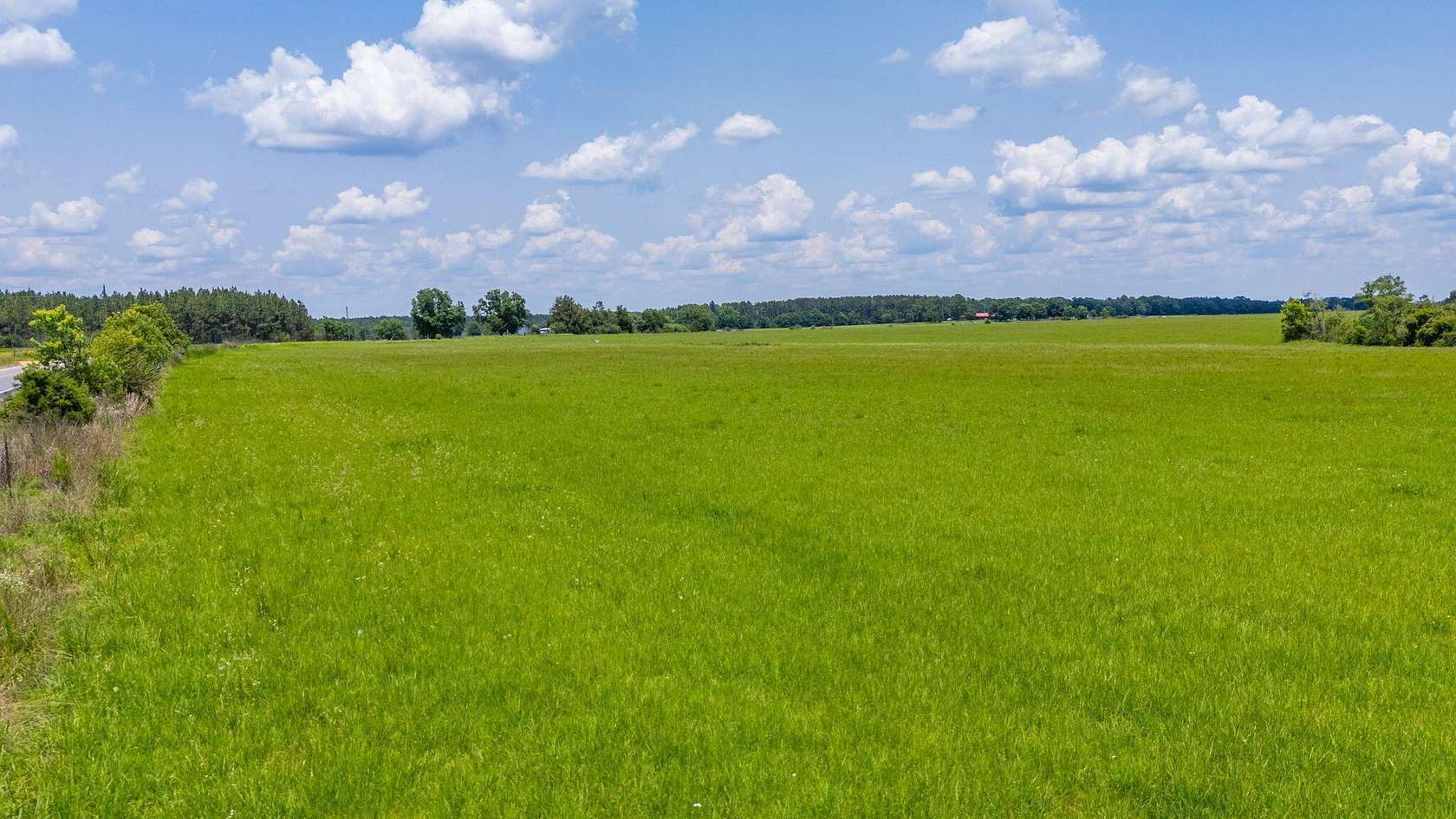 46.2 Acres of Agricultural Land for Sale in DeFuniak Springs, Florida