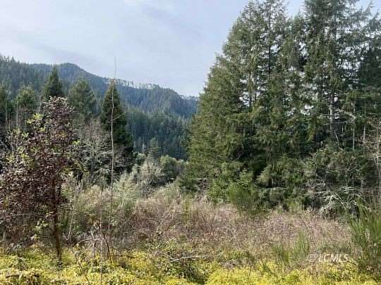 20.5 Acres of Recreational & Residential Land for Sale in Oakland, Oregon