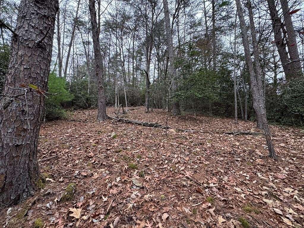 Residential Land for Sale in Murphy, North Carolina