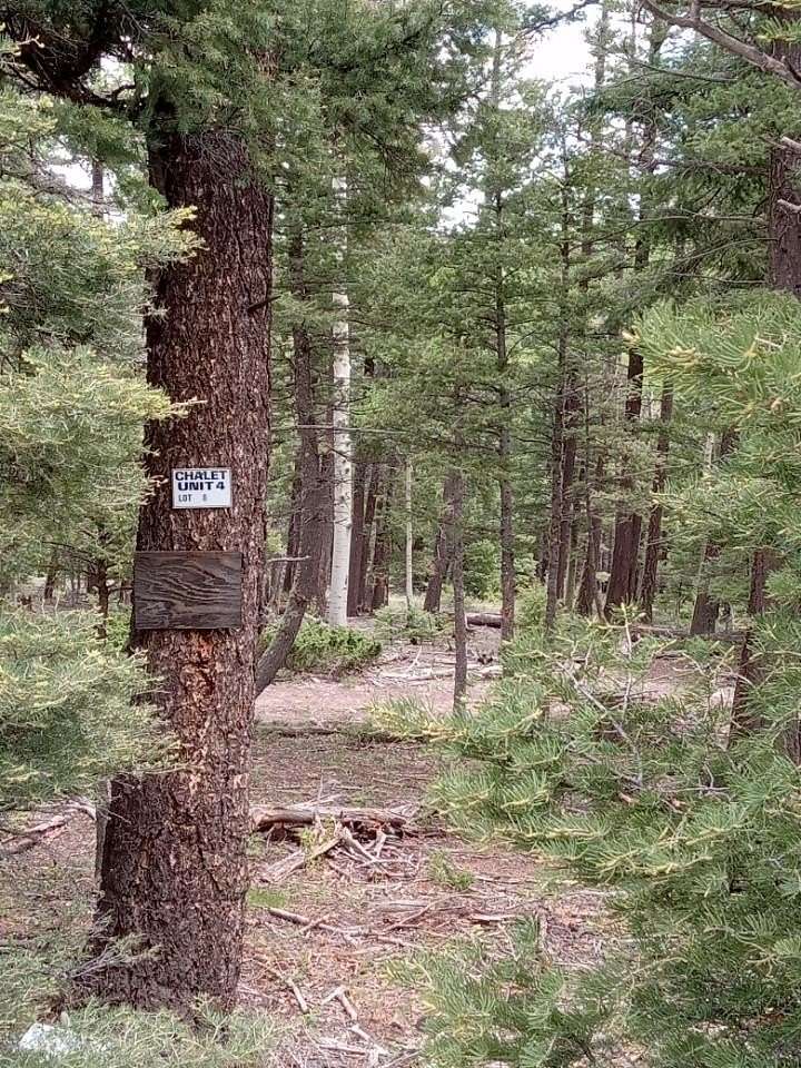 0.76 Acres of Land for Sale in Angel Fire, New Mexico