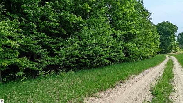 1 Acre of Residential Land for Sale in Bellaire, Michigan