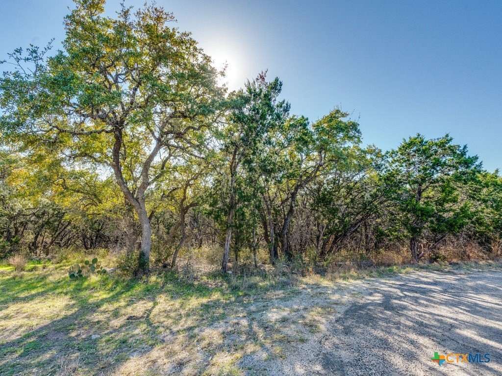 0.25 Acres of Residential Land for Sale in Spring Branch, Texas