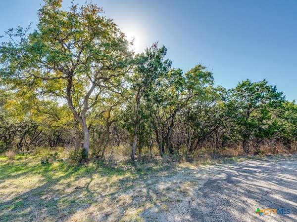 0.25 Acres of Residential Land for Sale in Spring Branch, Texas