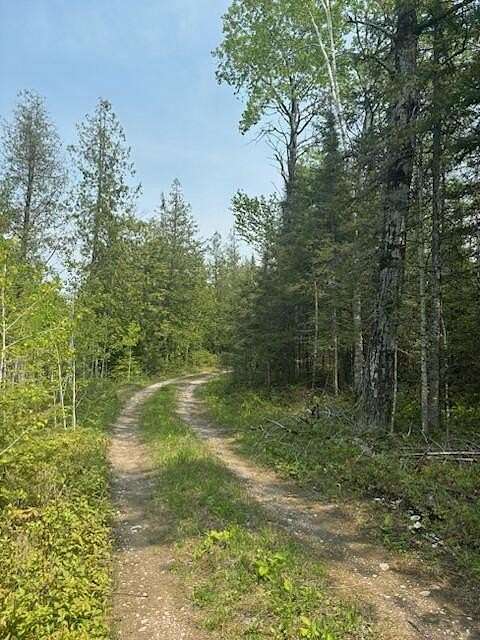 12.7 Acres of Recreational Land for Sale in Hessel, Michigan