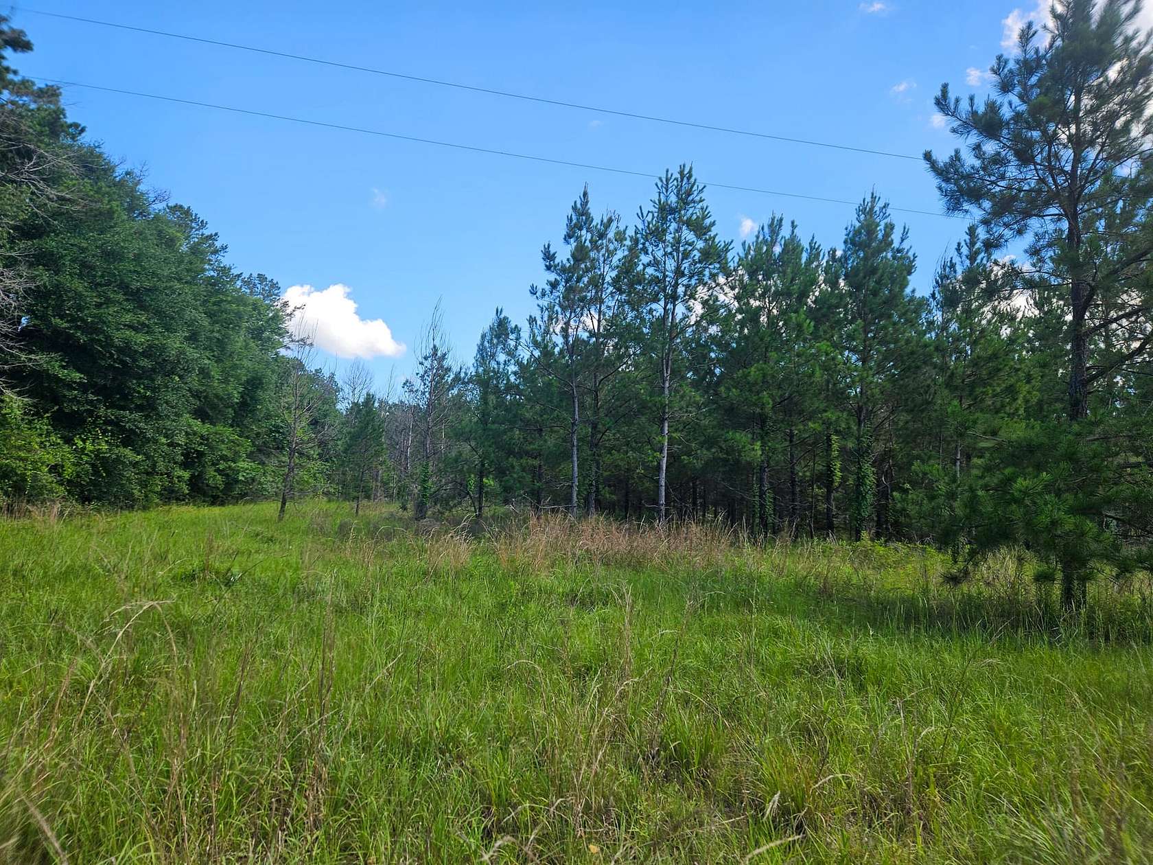 11 Acres of Recreational Land for Sale in Columbia, Mississippi