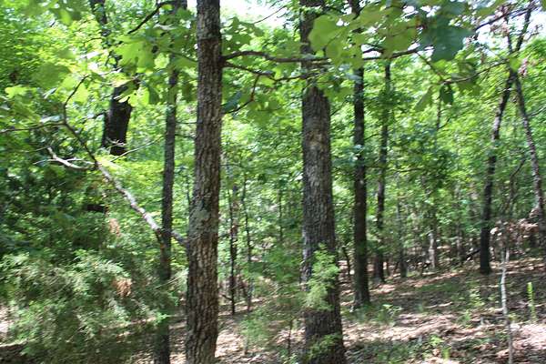 0.21 Acres of Residential Land for Sale in Theodosia, Missouri