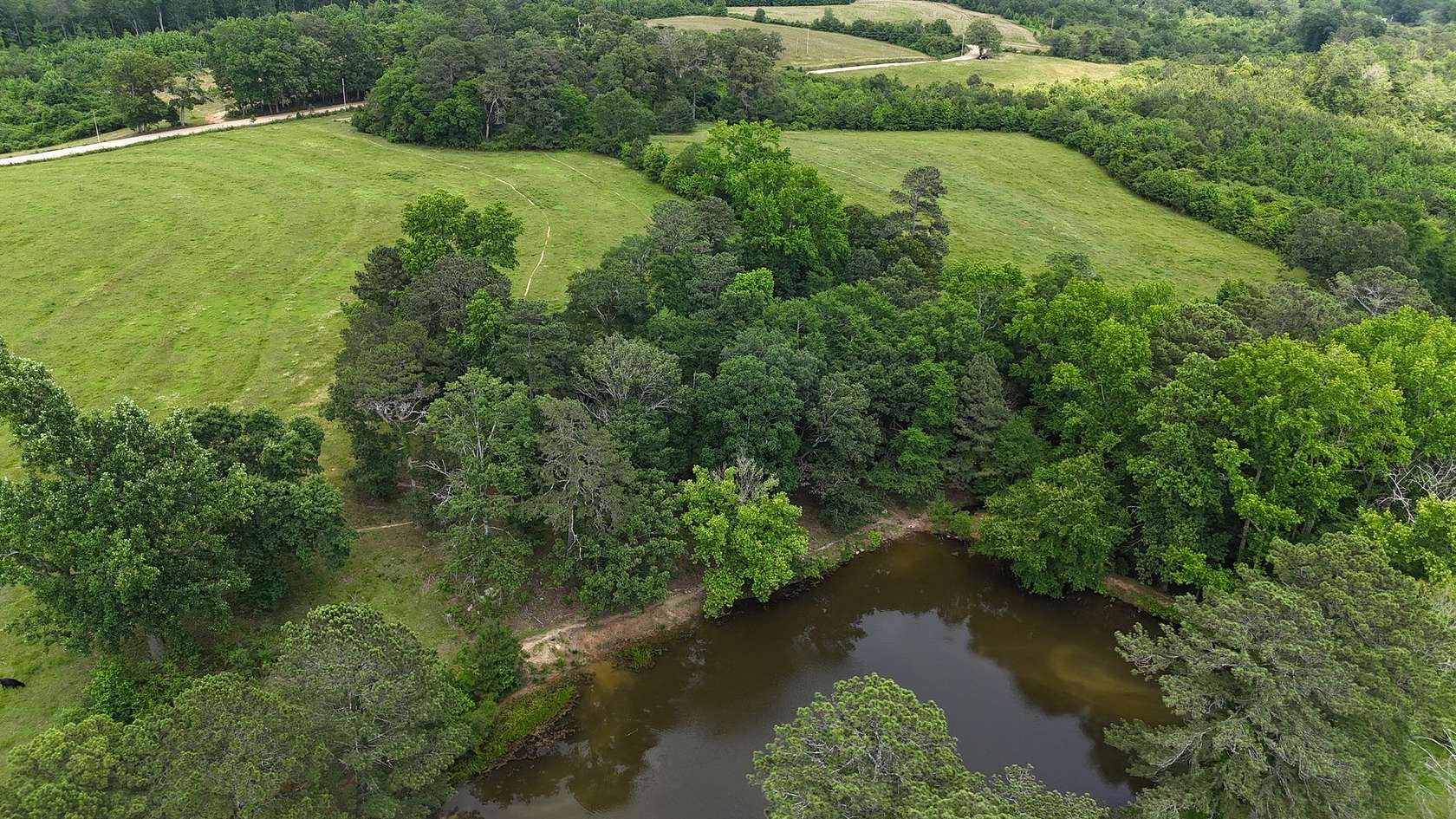 137 Acres of Improved Land for Sale in Collinsville, Alabama
