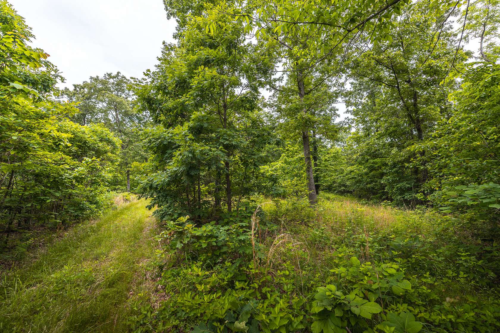 700 Acres of Land for Sale in Sullivan, Missouri