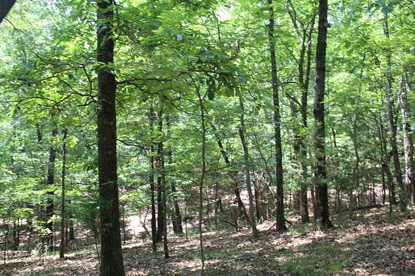 0.22 Acres of Residential Land for Sale in Theodosia, Missouri