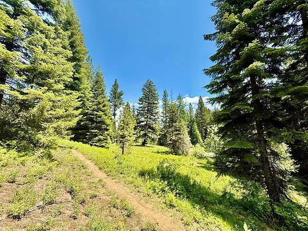 0.9 Acres of Residential Land for Sale in Donnelly, Idaho