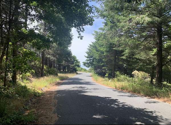 0.16 Acres of Commercial Land for Sale in Whitethorn, California