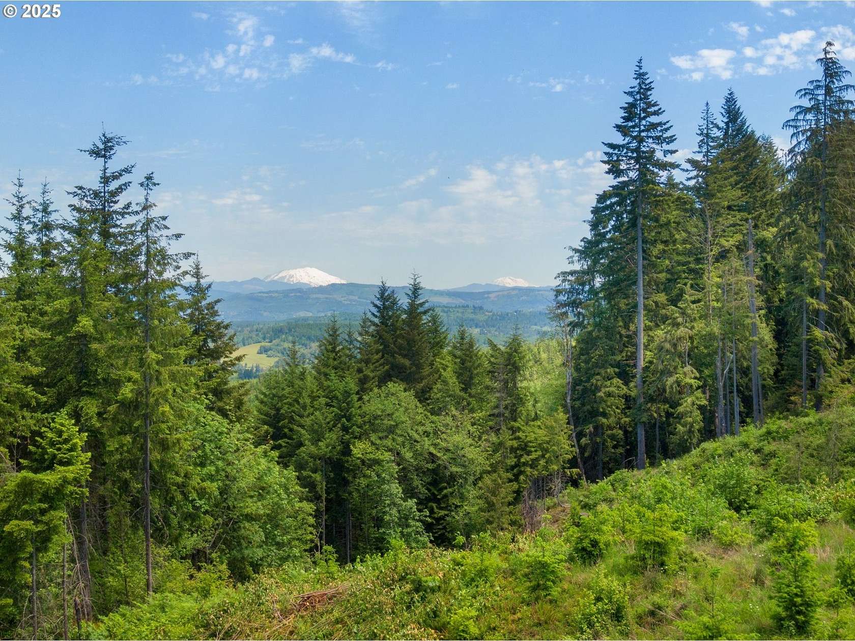 6 Acres of Land for Sale in Deer Island, Oregon