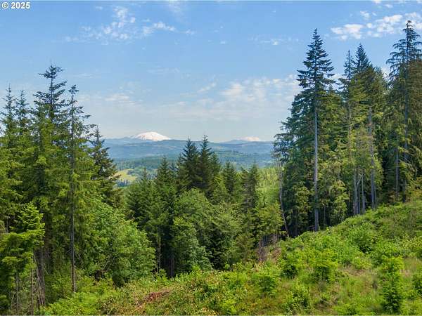 6 Acres of Land for Sale in Deer Island, Oregon