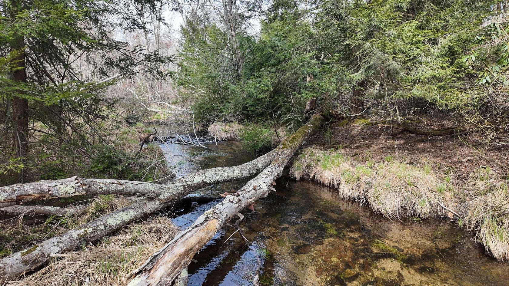 113 Acres of Land for Sale in White Haven, Pennsylvania