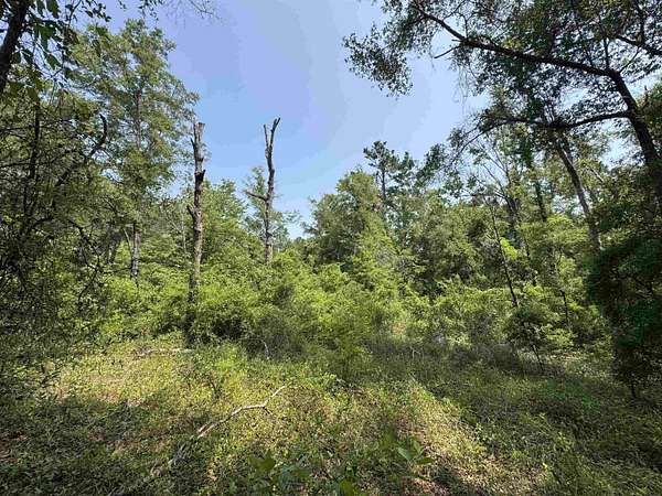 3.42 Acres of Land for Sale in Tallahassee, Florida