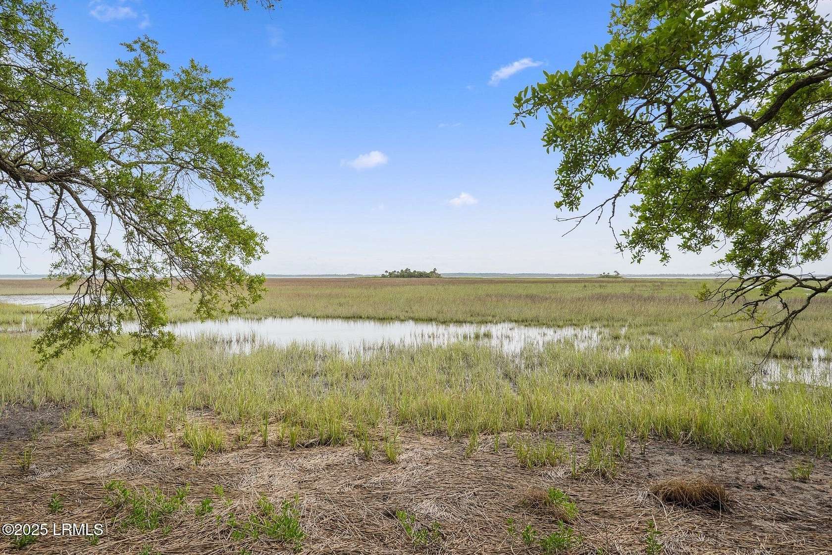 30 Acres of Agricultural Land for Sale in Saint Helena Island, South Carolina