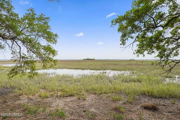 30 Acres of Agricultural Land for Sale in Saint Helena Island, South Carolina
