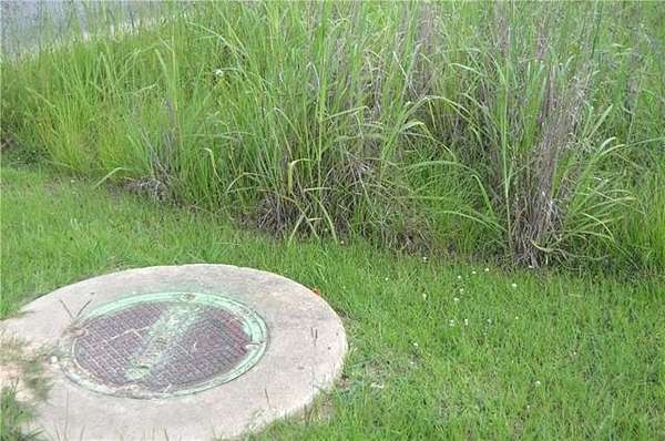 22.9 Acres of Land for Sale in Pineville, Louisiana