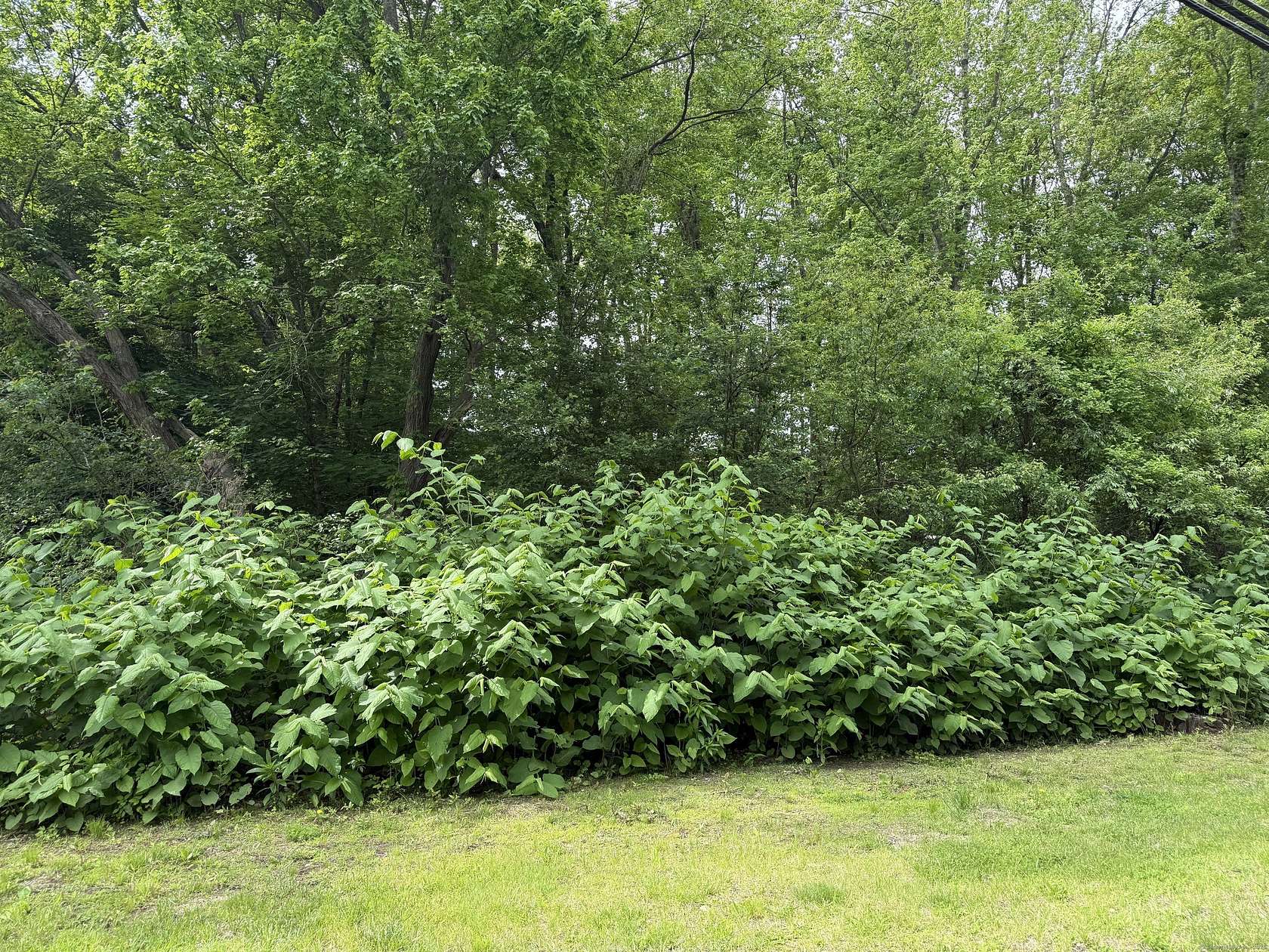 0.37 Acres of Residential Land for Sale in Plymouth, Connecticut