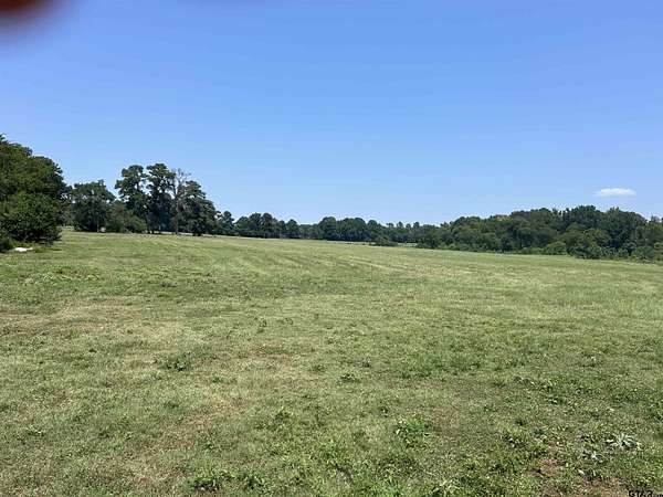 41 Acres of Land for Sale in Troup, Texas