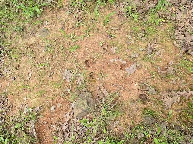 4.32 Acres of Land for Sale in Hulbert, Oklahoma