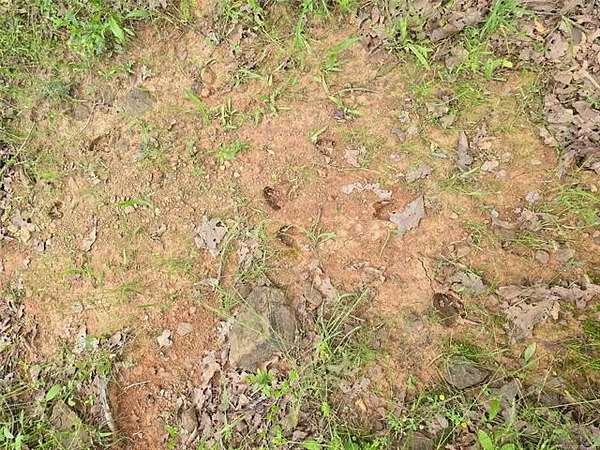 4.32 Acres of Land for Sale in Hulbert, Oklahoma