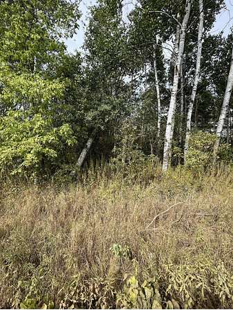 6.46 Acres of Residential Land for Sale in Marshfield, Wisconsin
