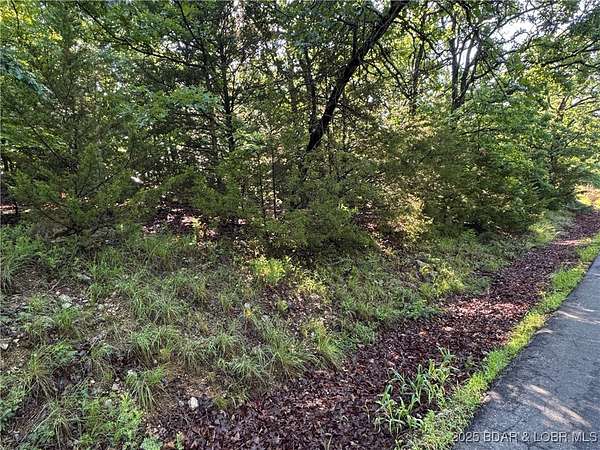 0.25 Acres of Land for Sale in Linn Creek, Missouri