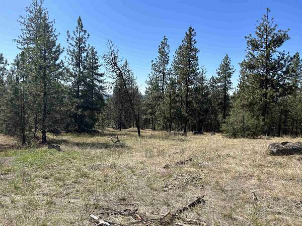 20 Acres of Recreational Land for Sale in Tumtum, Washington
