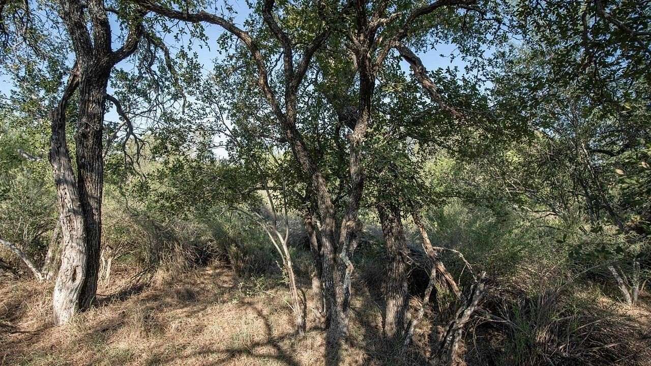 0.12 Acres of Residential Land for Sale in Granite Shoals, Texas