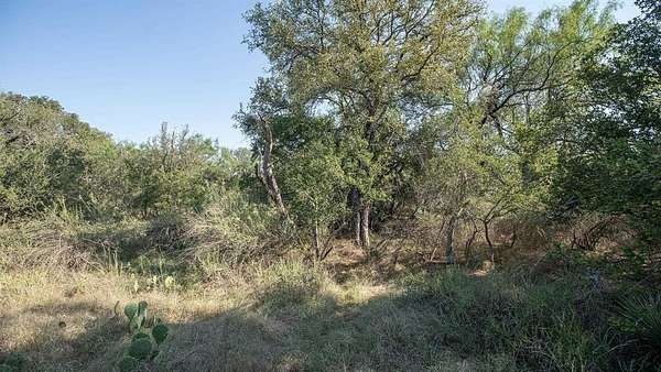 0.12 Acres of Residential Land for Sale in Granite Shoals, Texas