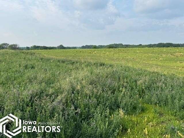 80 Acres of Land for Sale in Centerville, Iowa