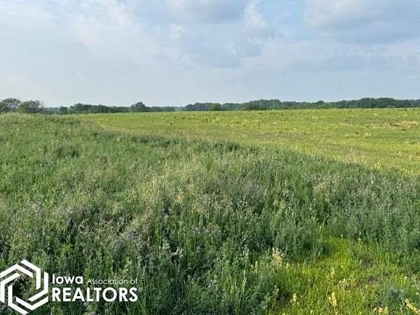 80 Acres of Land for Sale in Centerville, Iowa