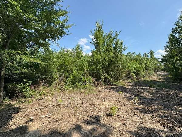 10 Acres of Land for Sale in Timpson, Texas