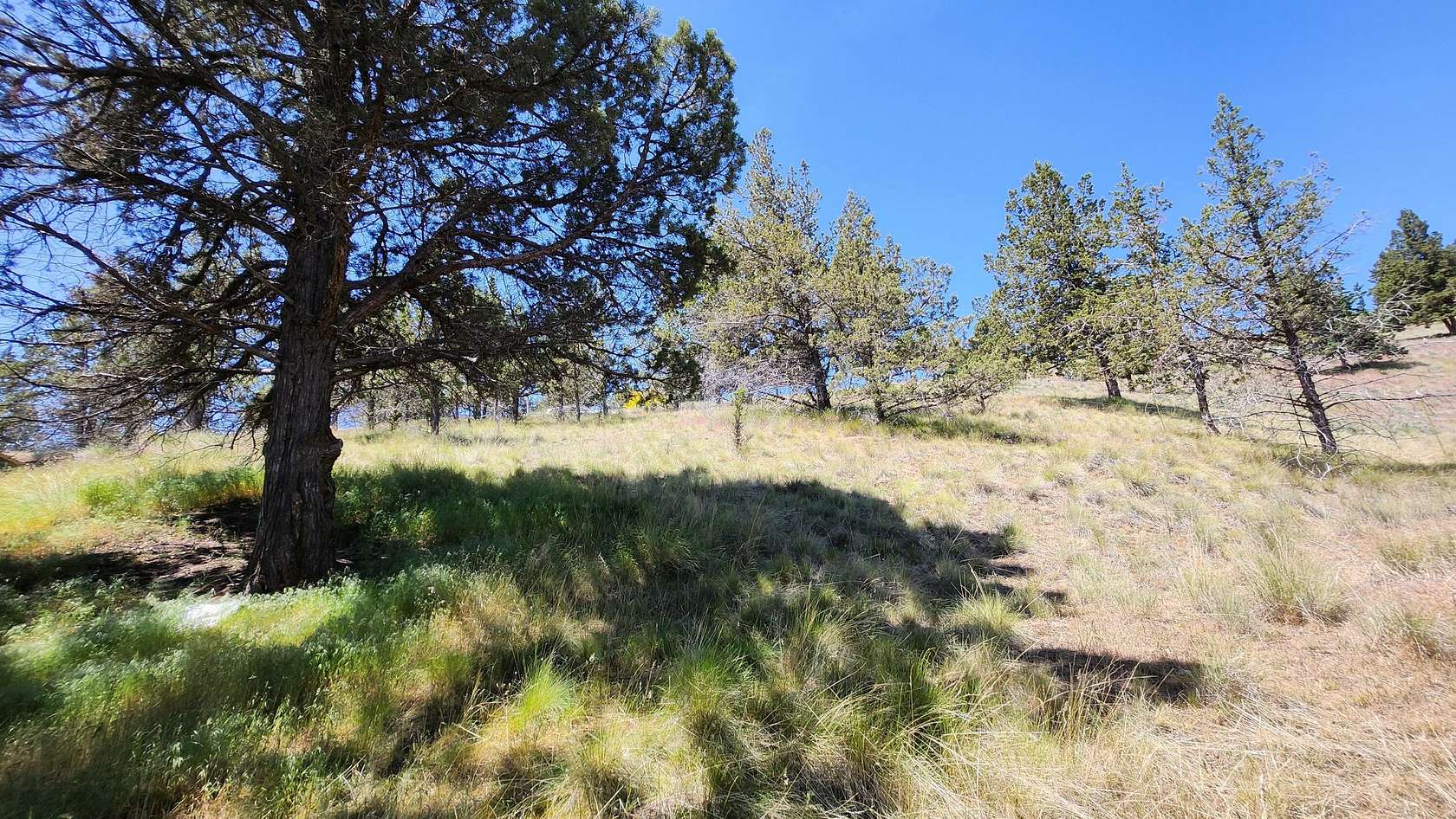 0.21 Acres of Residential Land for Sale in Prineville, Oregon