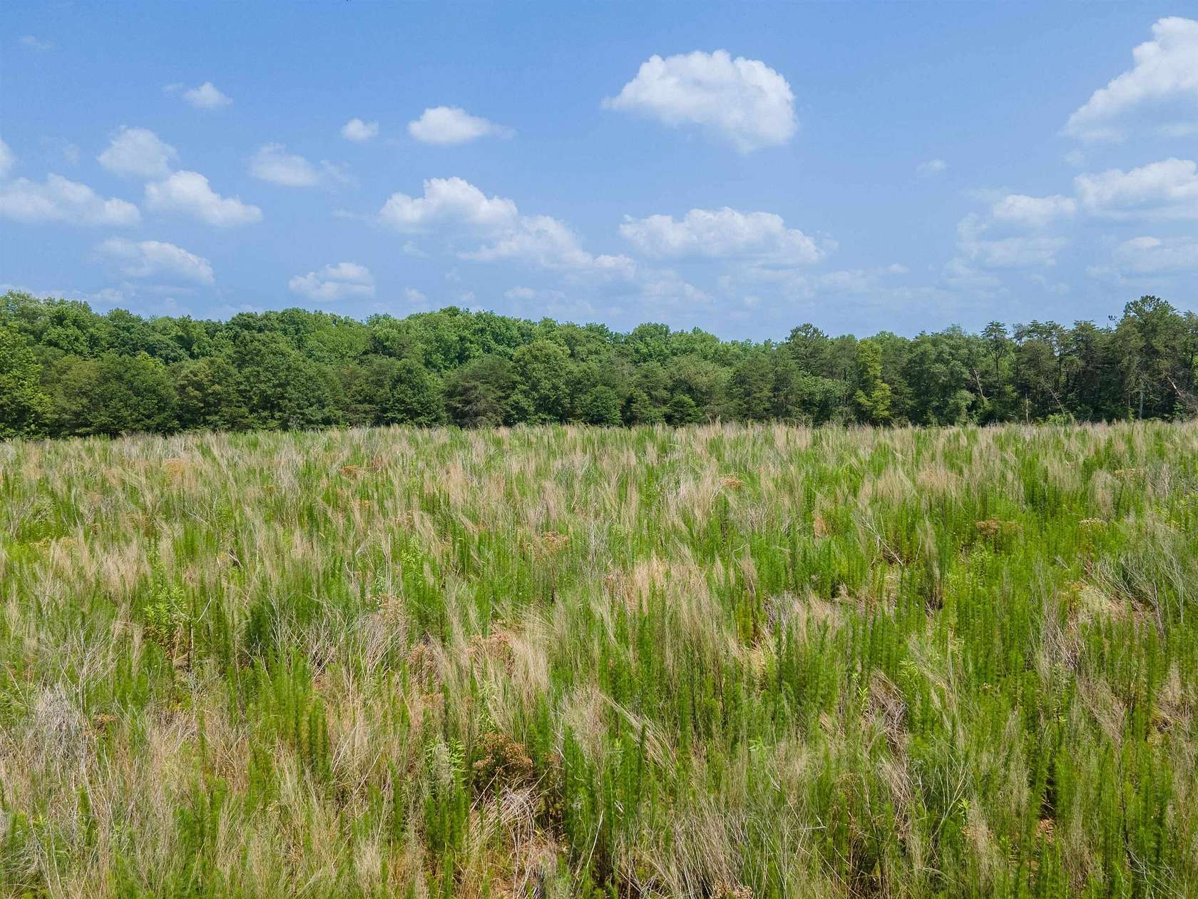 12.3 Acres of Land for Sale in Chesnee, South Carolina