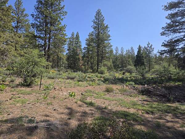 2.52 Acres of Residential Land for Sale in Bonanza, Oregon