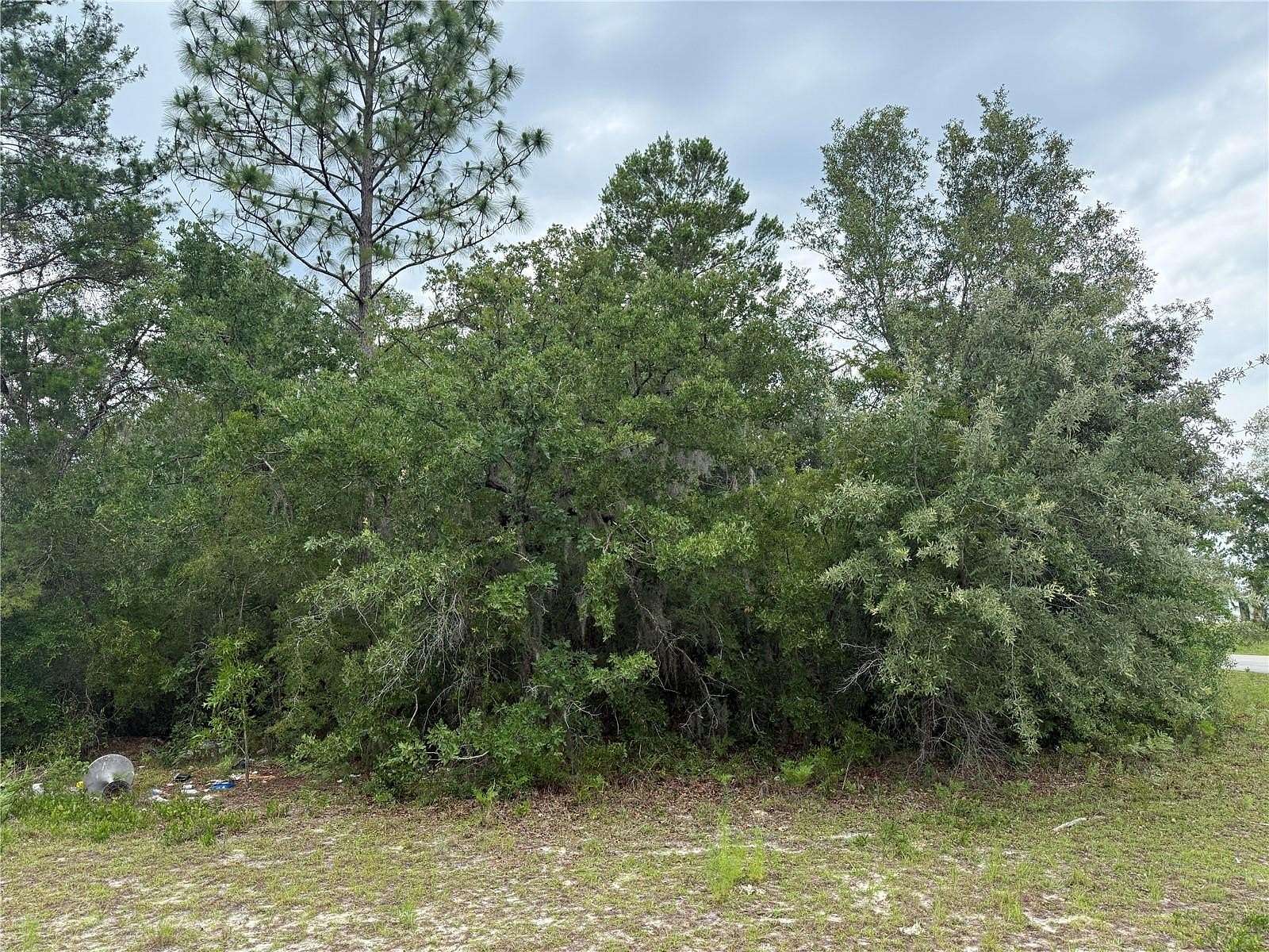 Residential Land for Sale in Ocala, Florida