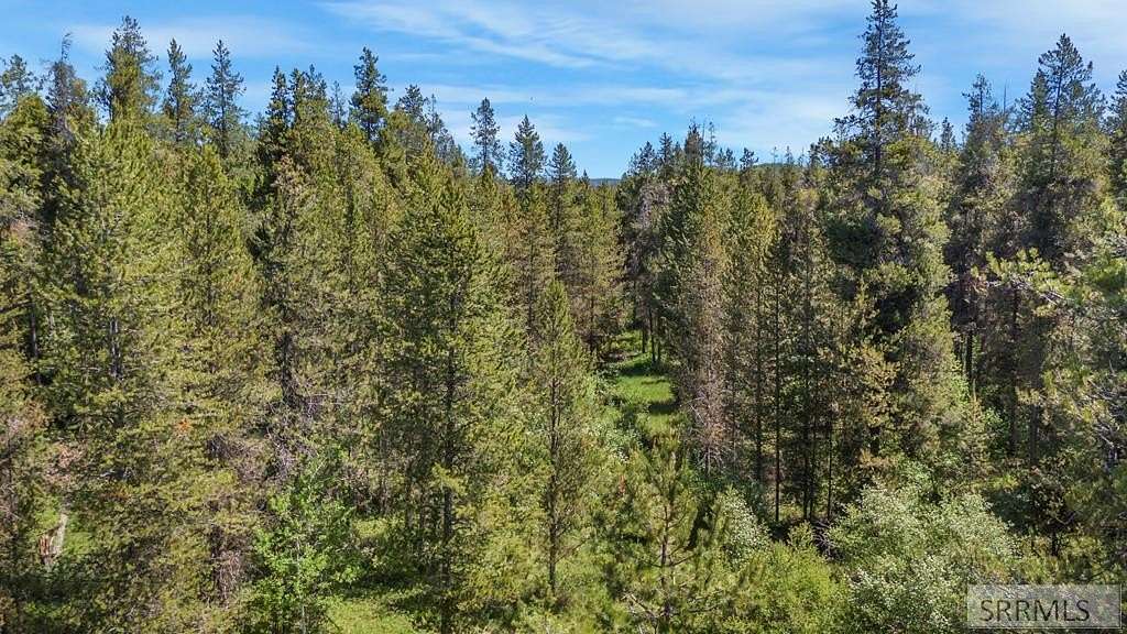 3 Acres of Land for Sale in Ashton, Idaho
