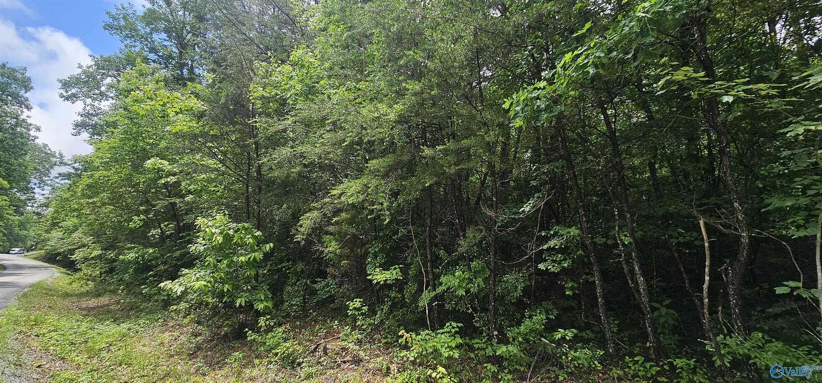 3 Acres of Residential Land for Sale in Mentone, Alabama
