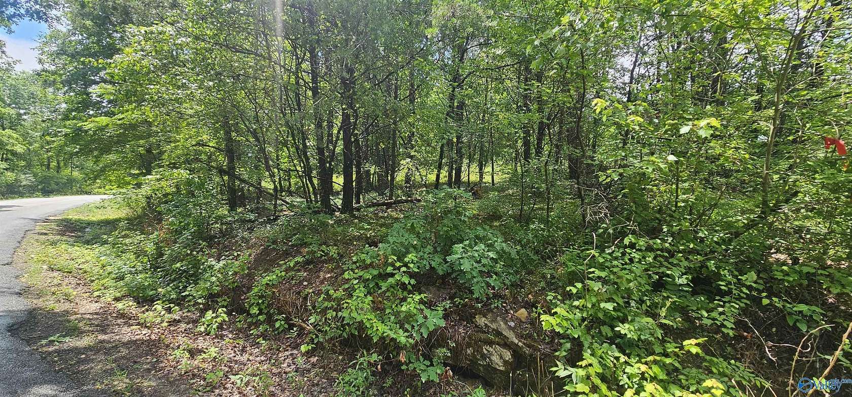 3 Acres of Land for Sale in Mentone, Alabama