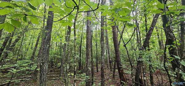 3 Acres of Residential Land for Sale in Mentone, Alabama