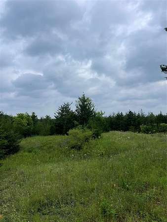 23 Acres of Recreational Land for Sale in Windom, Texas