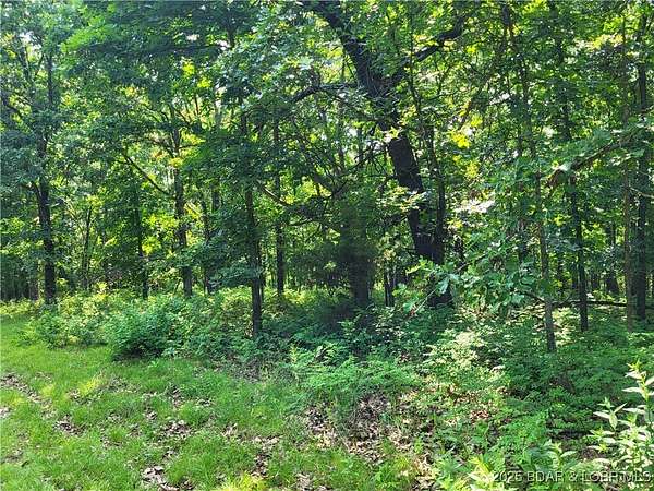 7.8 Acres of Land for Sale in Edwards, Missouri