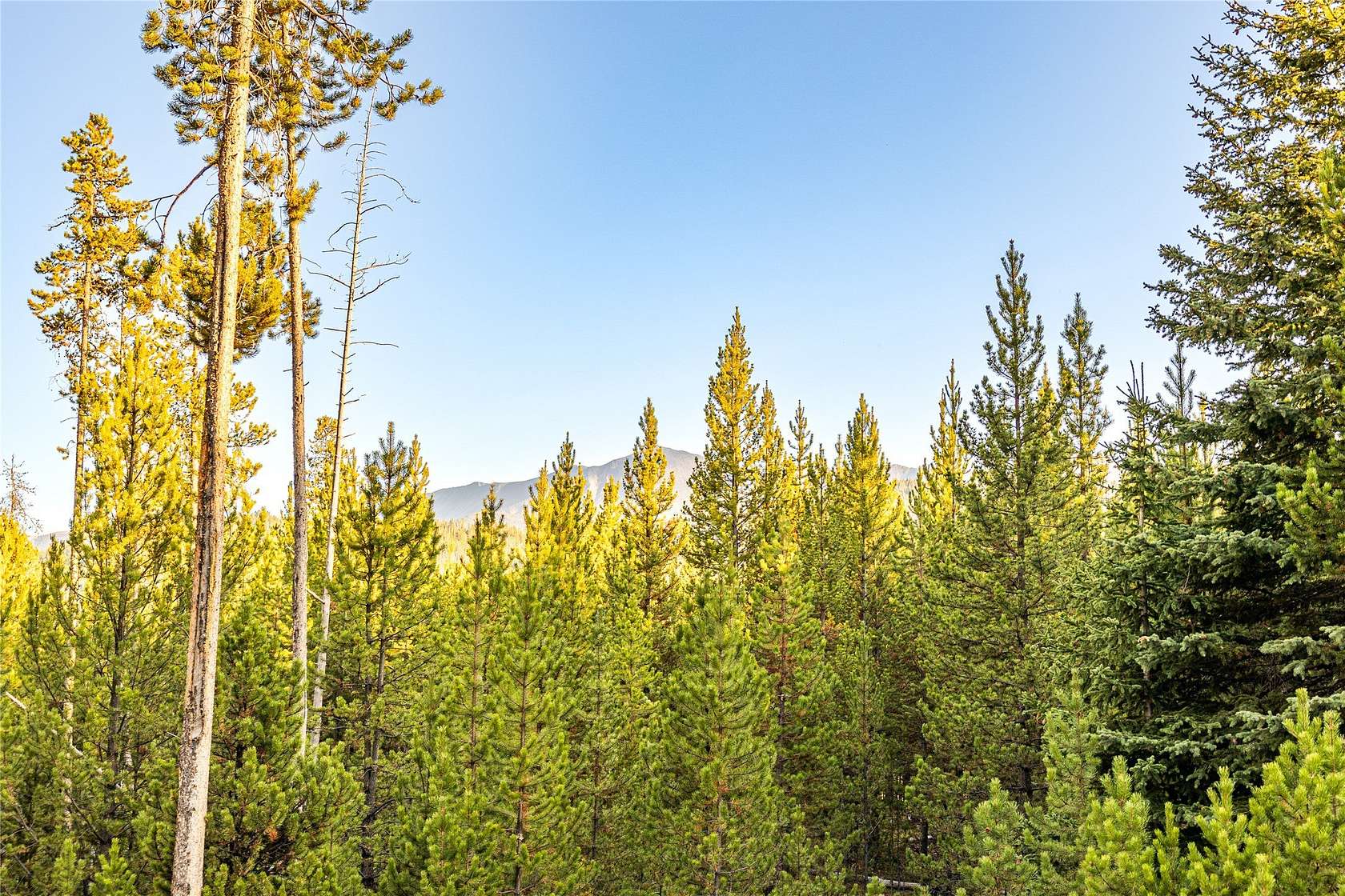 6.26 Acres of Residential Land for Sale in Anaconda, Montana