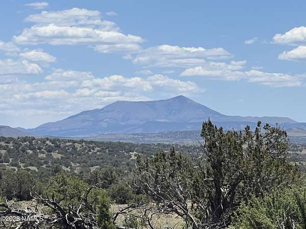 10 Acres of Land for Sale in Williams, Arizona