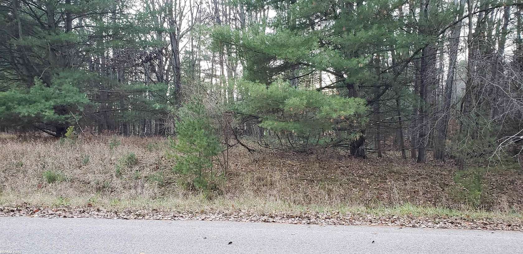 0.3 Acres of Residential Land for Sale in Gladwin, Michigan