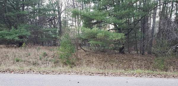 0.3 Acres of Residential Land for Sale in Gladwin, Michigan