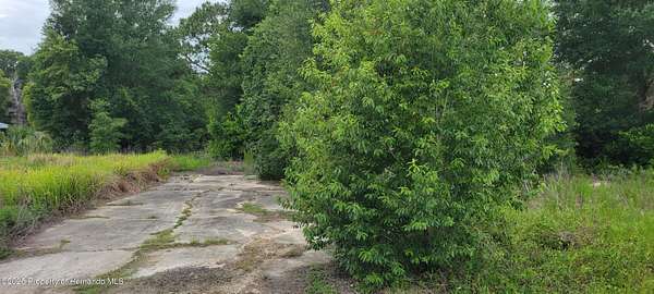 1 Acre of Residential Land for Sale in Ridge Manor, Florida